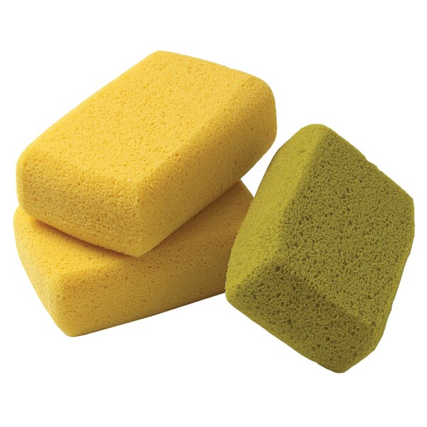 Sponges