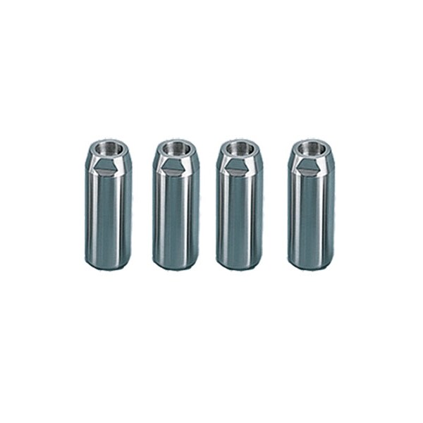 Stainless Steel Legs, fit PROLINE Frames