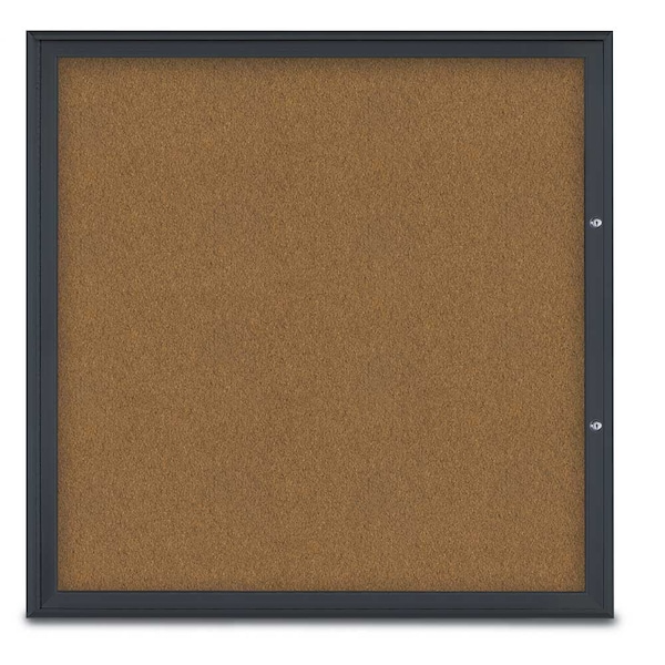 Single Door Radius Plus Corkboard, 48"X