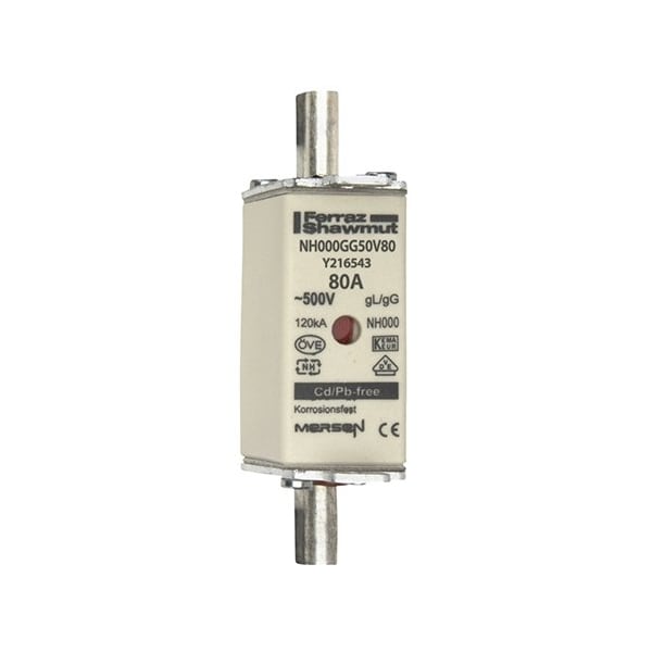 Fuse Link, Y21 Series, 80A, Time-Delay, 500V AC, Square