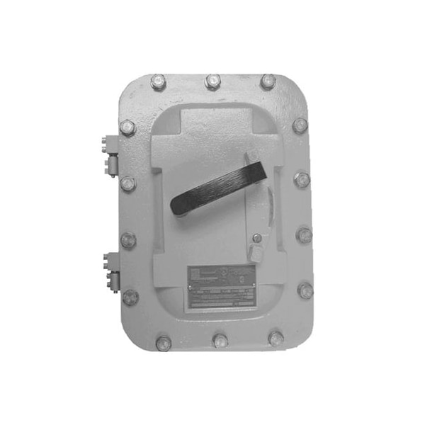 Circuit Breaker, AE Series, 1000A, 2 Pole, 600V AC, 65kA at 240V AC