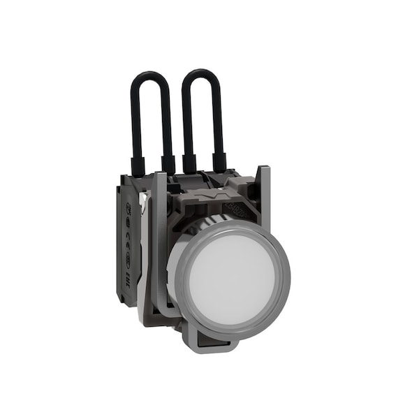Push-to-test pilot light, Harmony XB4, metal, white, universal LED, screw clamp terminals, 110.120V