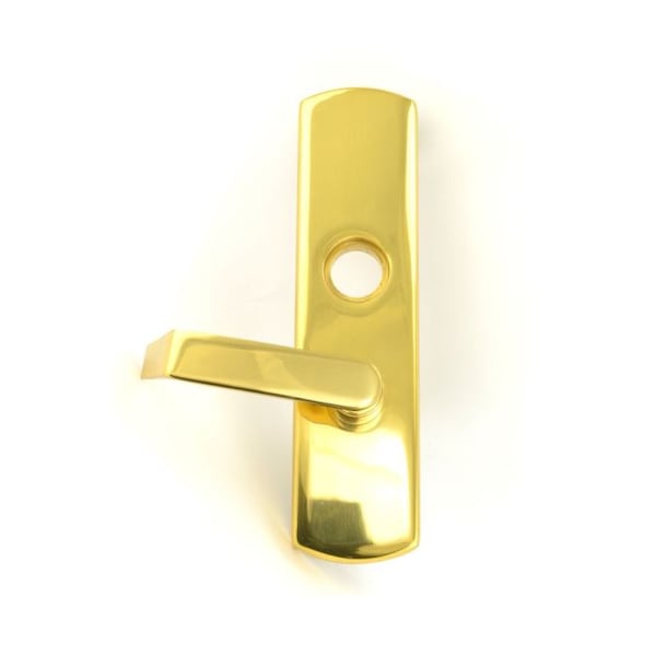 Bright Brass Trim 996LR3LH