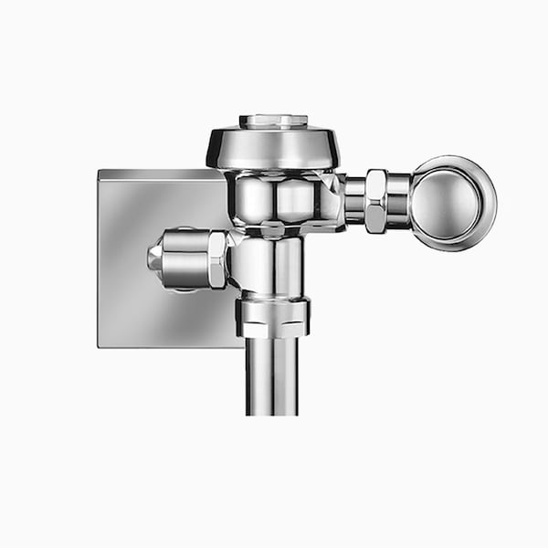 Royal 843 24V Flush Valve