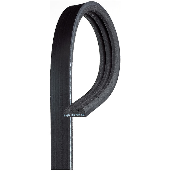 Serpentine Belt, K030303SF