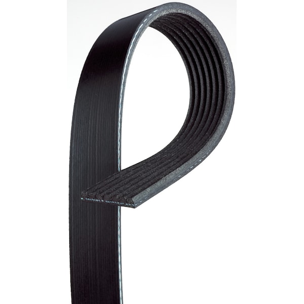 Premium OE Micro-V Belt, K050780
