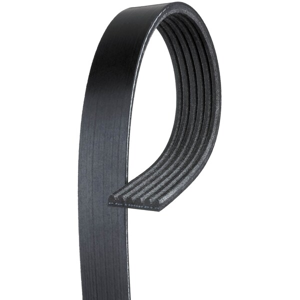 Premium OE Micro-V Belt - Alternator and Power Steering, K060529
