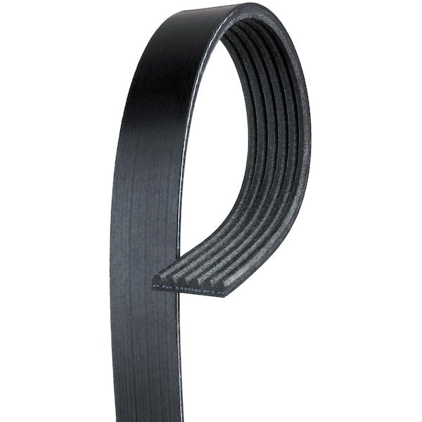 Premium OE Micro-V Belt, K060812