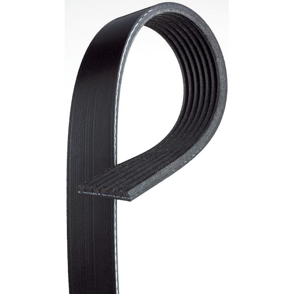 Serpentine Belt, K070565
