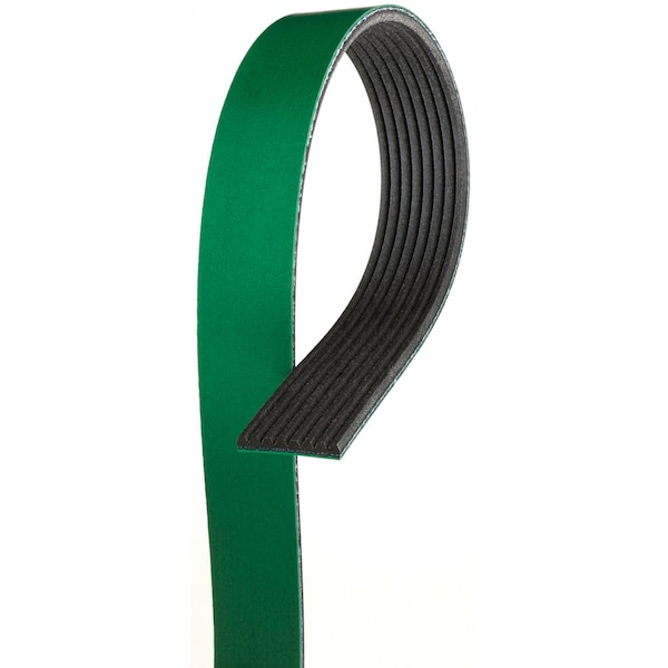 Serpentine Belt, K081243HD
