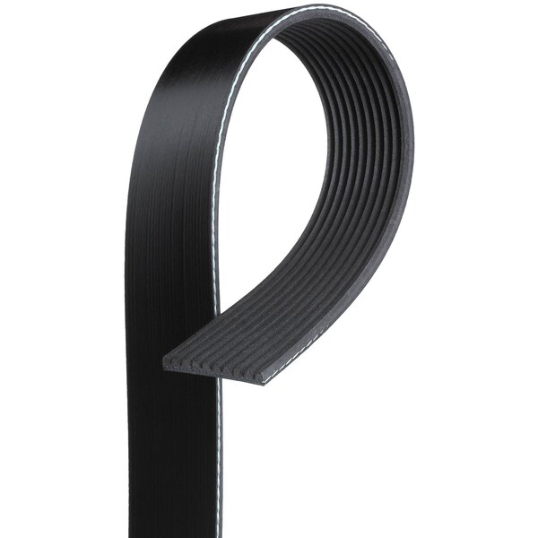 Serpentine Belt 2011-2012 Hino 238 7.7L, K100563