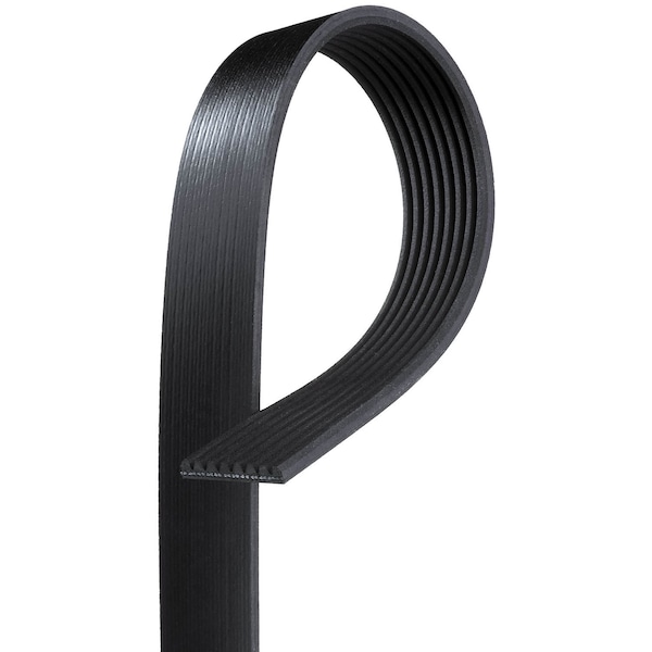 Premium OE Micro-V Belt, K081264