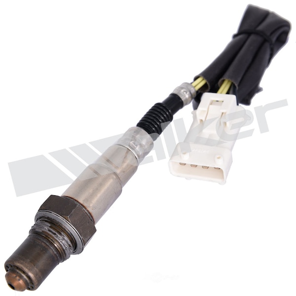 Oxygen Sensor, 250-24409