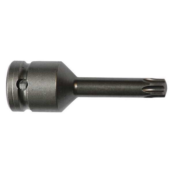Socket Bit, 1/2 in. Dr, T50 Torx(R)