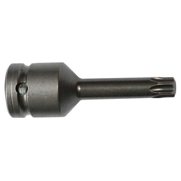 Socket Bit, 1/2 in. Dr, T55 Torx(R)