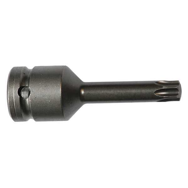 Socket Bit, 3/8 in. Dr, T40 Torx(R), PK5
