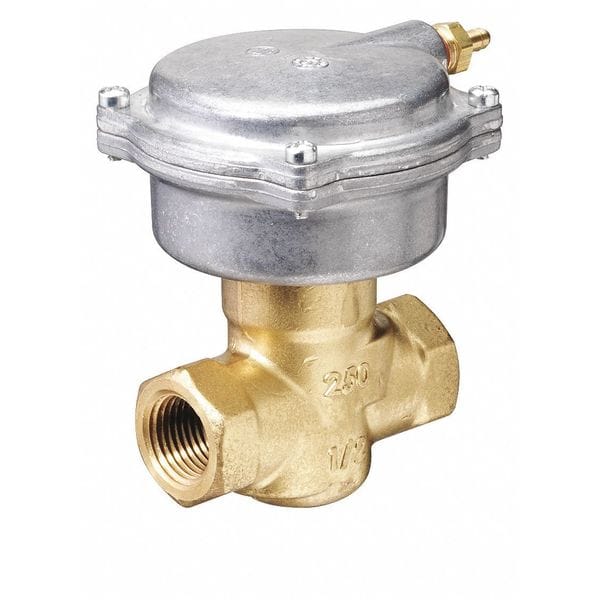 Globe Valve Assembly, 2 Way, Pneumatic