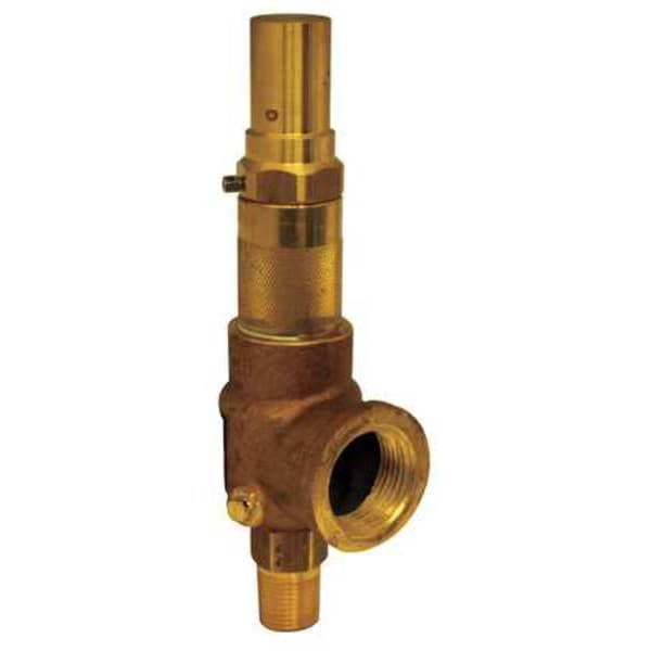 Adjustable Relief Valve, 1/2 In, 250 psi