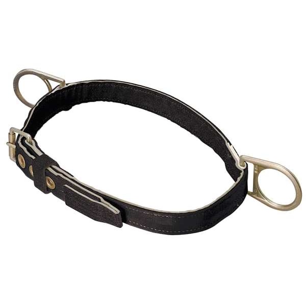 Body Belt, 2 D-Rings, Hips Location, Stainless Steel, Includes Padding: No , L