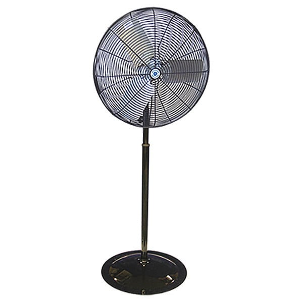 OSHA Pedestal Fan, 115V, Non-Oscillating