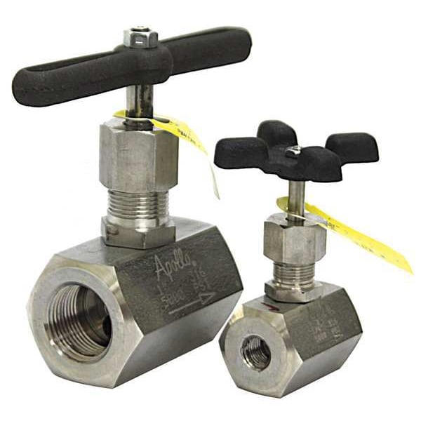 Globe Valve, 1 In., FNPT, 316 SS
