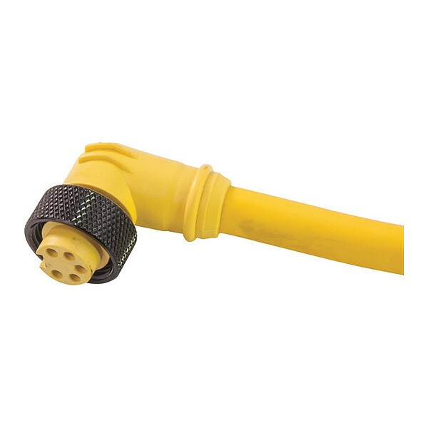 Cordset, Mini-Link Assy, PVC, F, 2 P, 12 ft.