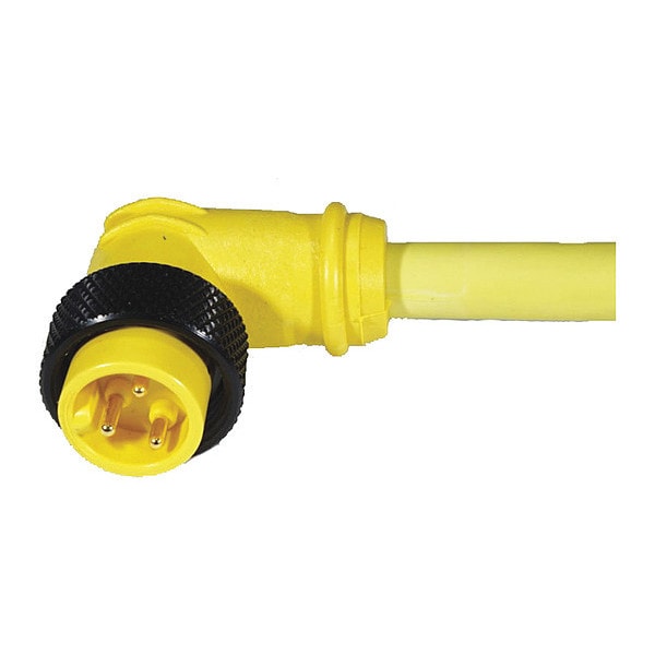 Cordset, MiniPVC, Male, 4 Pole, 12 ft.