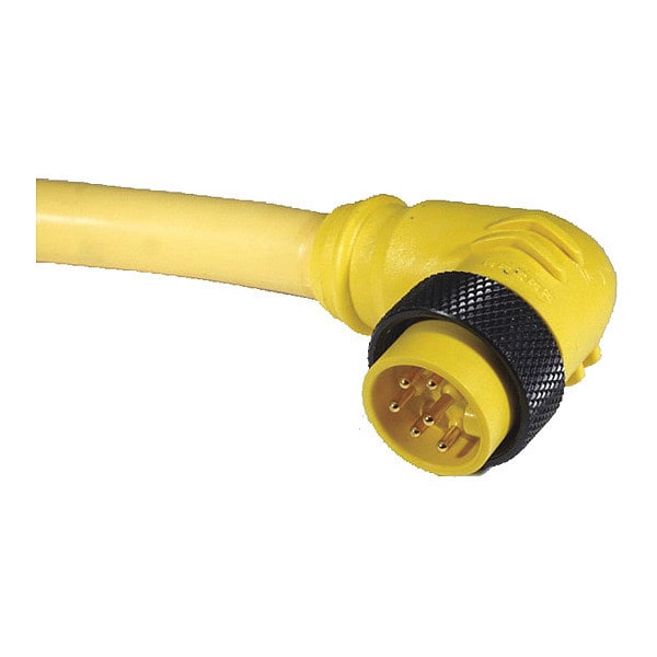 Cordset, MiniPVC, Male, 4 Pole, 12 ft.