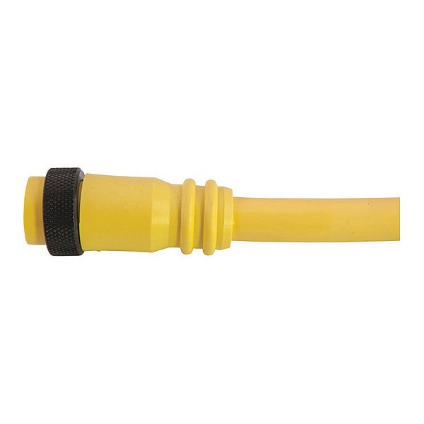 Cordset, Mini, PVC, Female, 12 Pole, 3 ft.
