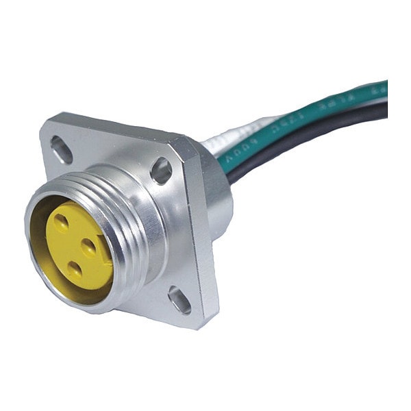 Receptacle, MiniSize, F, Flg Mt 2 P, 1 ft.