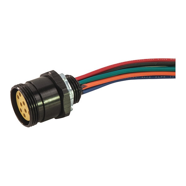 Receptacle, Mini, Female, 12 Pole, 1 ft.