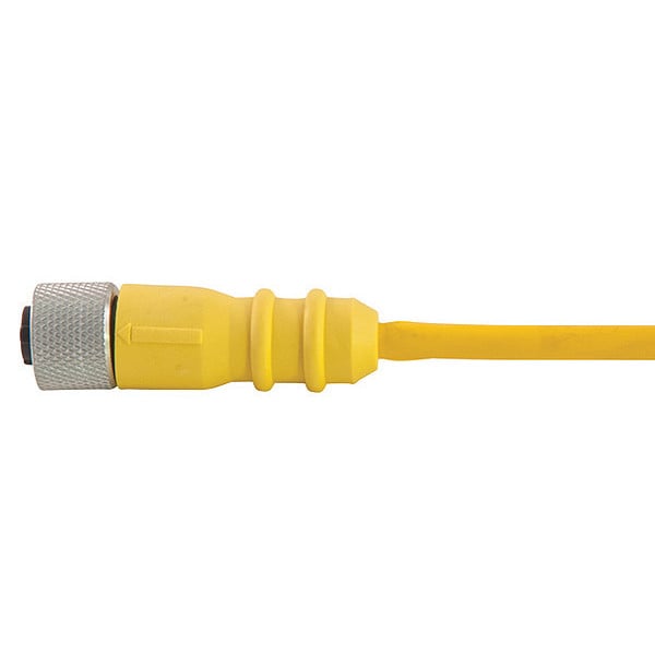 Cordset, D Key, PVC, Female, 3 Pole, 20 ft.