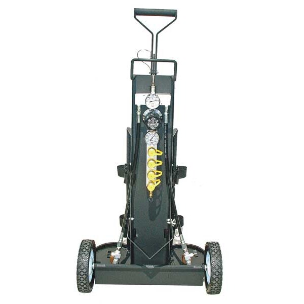 Air Cylinder Cart, 2 Cylinders, 4500 psi