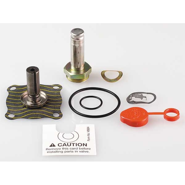 Valve Rebuild Kit, Use w/4EKR9