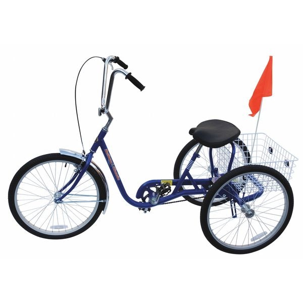 Bicycle, 250 lb Cap., Blue, 24" dia Wheel