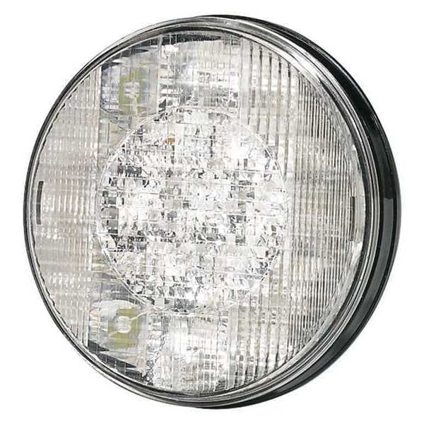 Back Up Lamp, LED, Clear, 4-5/16 in. L