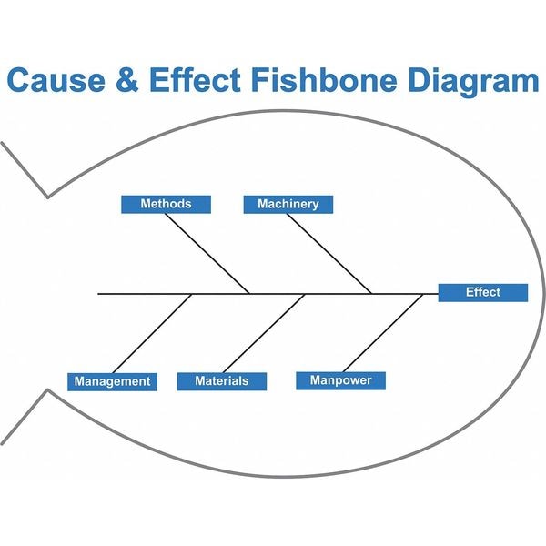 Fishbone Diagram Board, Plastic, 36 in, 48 in, No Frame Frame, White, Gloss