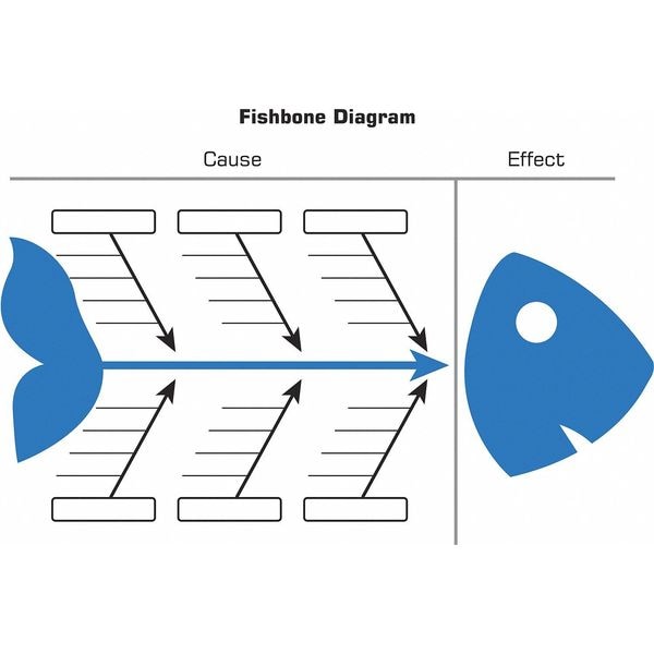 Fishbone Diagram Board, Plastic, 36 in, 48 in, No Frame Frame, White, Gloss