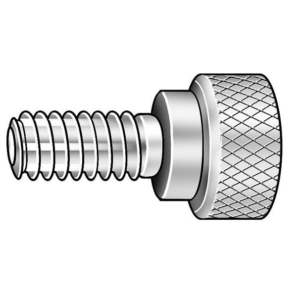 Thumb Screw, 5/16"-24 Thread Size, Round, Plain 18-8 Stainless Steel, 1/4 in Head Ht, 1 1/8 in Lg