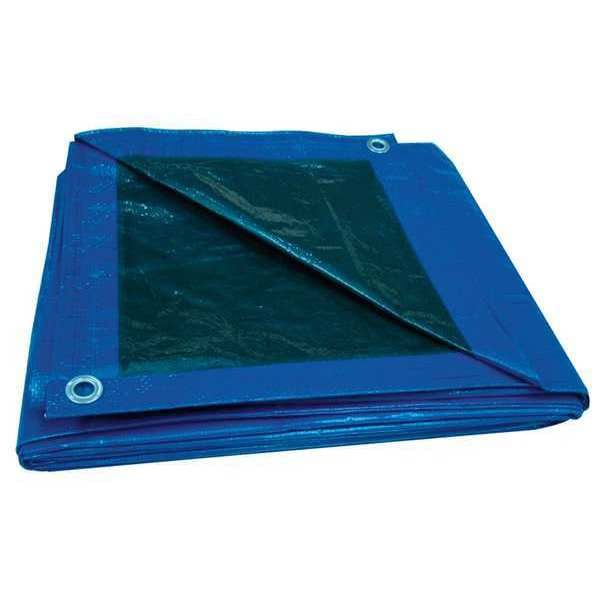 Standard Duty Tarp, 38 ft 6 in x 59 ft, 5.1 Mil, Blue, Polyethylene