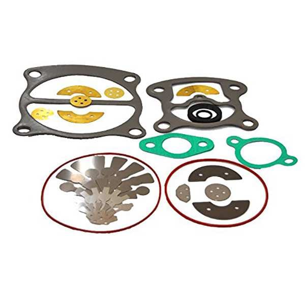 Valve and Gasket Kit, For 45465721