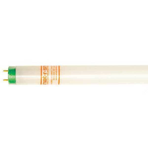 Fluorescent, 24", 17W, T8, 5000K, PK30