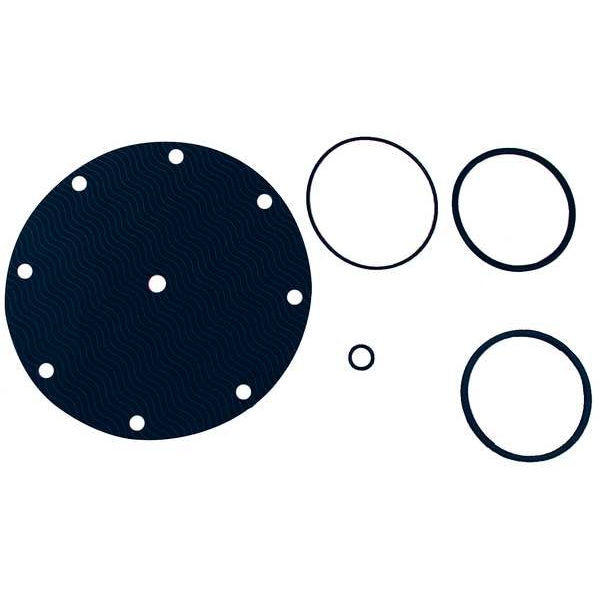 Valve Rebuild Kit, For Use with 6CJP1