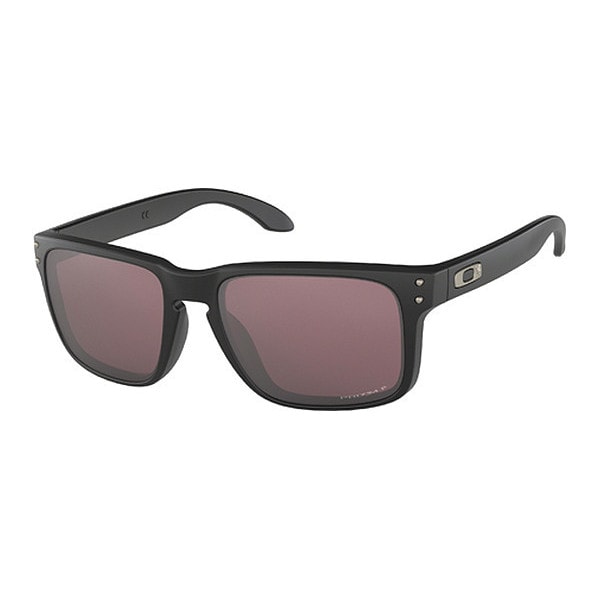 SI Holbrook Banded StnBLKw/PrizmDailyPol
