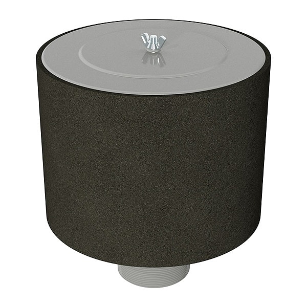 Intake Exposed Filter, 5" MNPT, 800 cfm