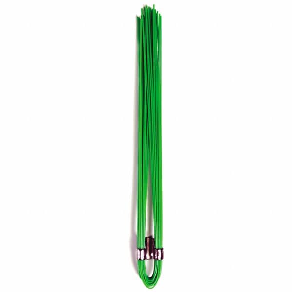 Whiskers, PK1000