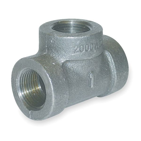 2" FNPT Galvanized Tee