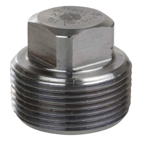 2-1/2" MNPT SS Square Head Plug