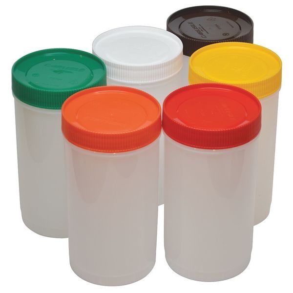 Pouring Container, 1 Quart Assorted Colors PK12