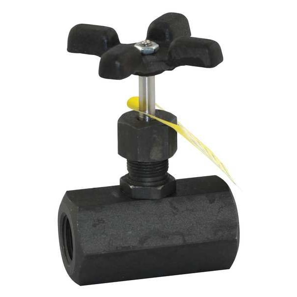 Globe Valve, 1 In., FNPT, 100 Deg F